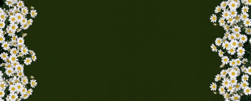 130726_pique_nique