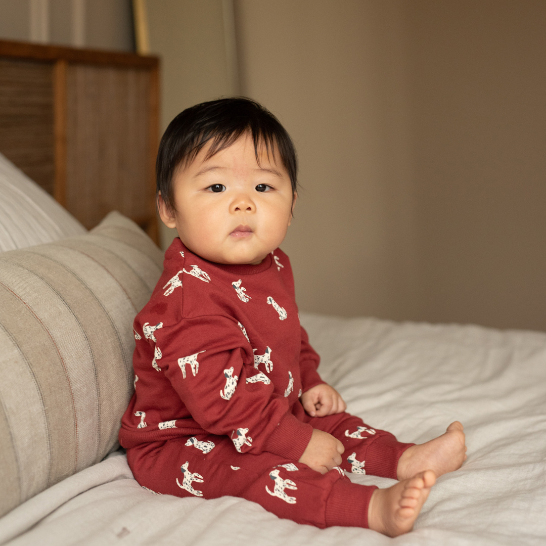 Grossiste BLUE WHITE - ENSEMBLE BÉBÉ FILLE BORDEAUX AVEC MOTIFS ANIMAUX