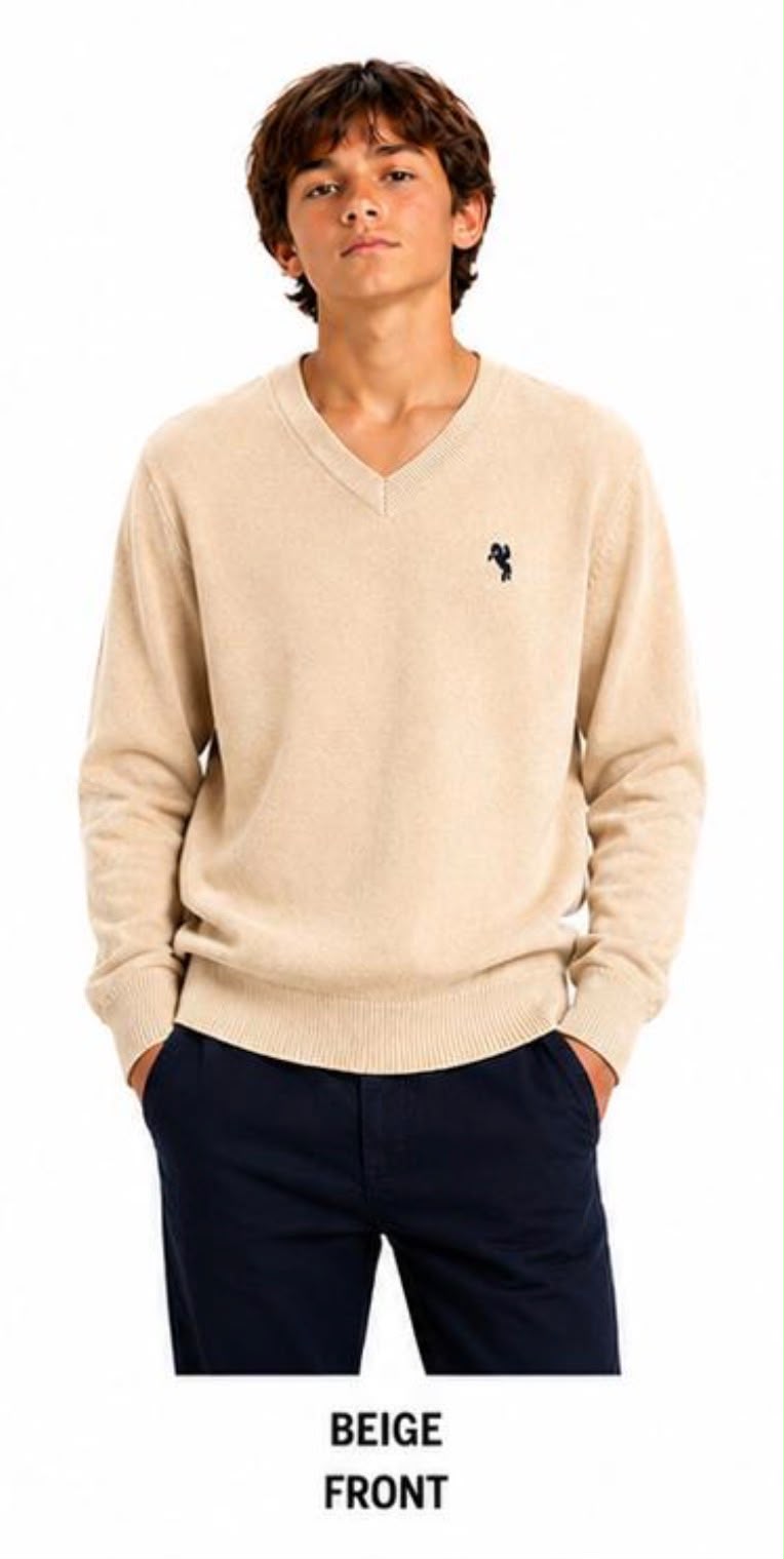 Grossiste Free Star - Pull garçon Grossiste Free Star - Pull garçon