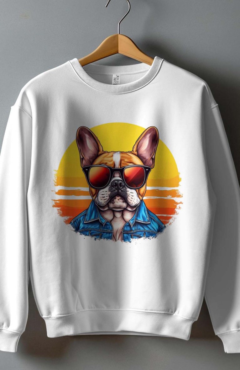 Grossiste I.A.L.D FRANCE - Sweat Garçon Col Rond  | dog bogoss 2