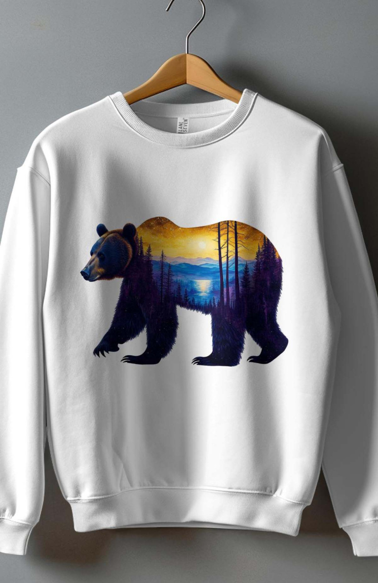 Grossiste I.A.L.D FRANCE - Sweat Garçon Col Rond  | ours paysage