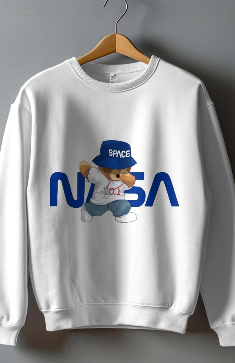 Großhändler I.A.L.D FRANCE - Rundhals-Sweatshirt für Jungen | Bär NASA