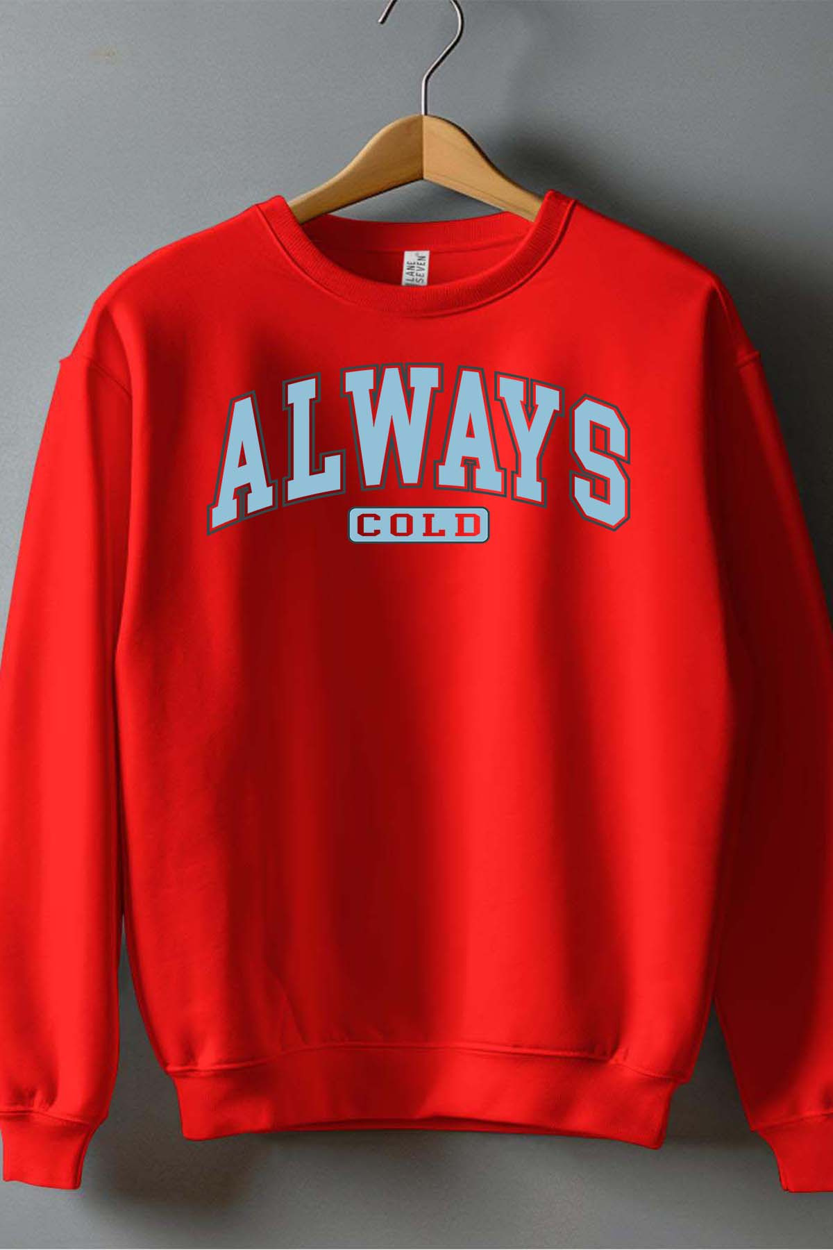 Wholesaler I.A.L.D FRANCE - AlwaysCold - Crewneck sweatshirt Boy
