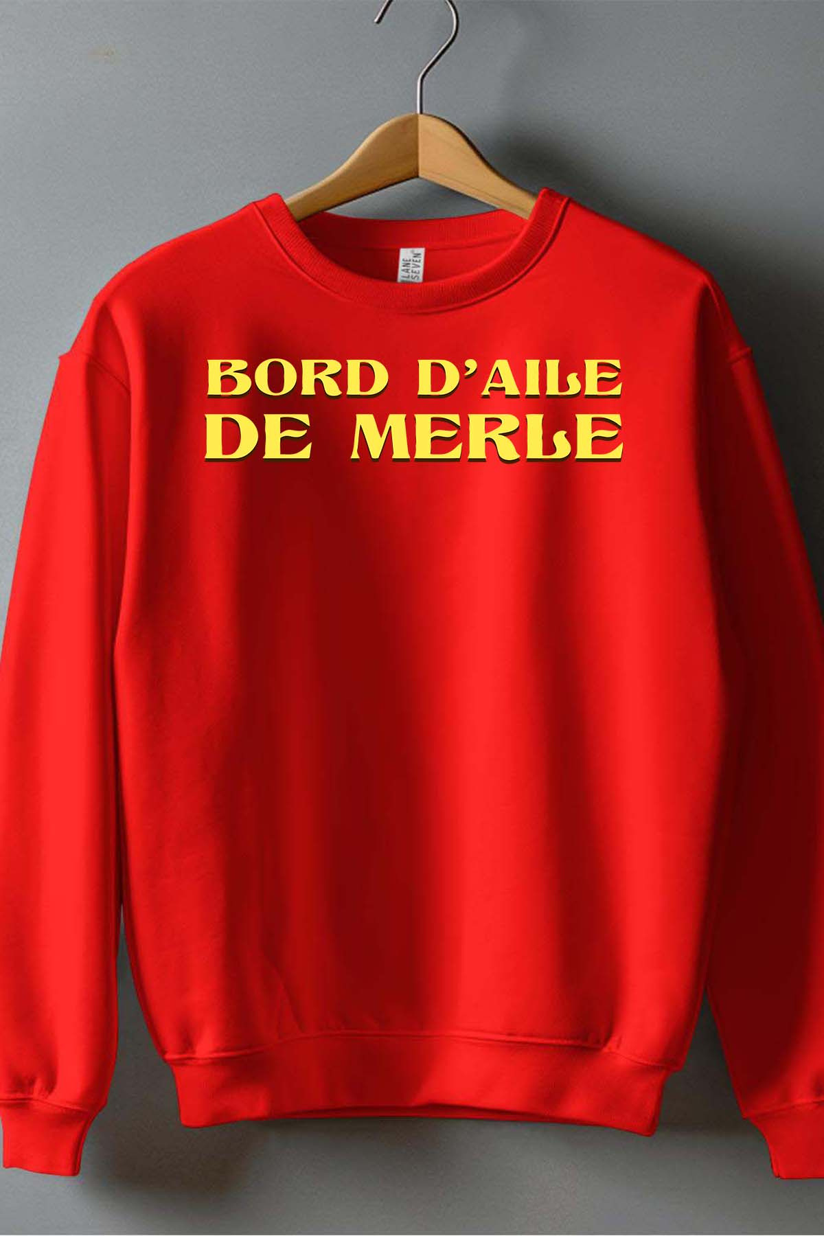 Wholesaler I.A.L.D FRANCE - Bord ailes - Crewneck sweatshirt Boy