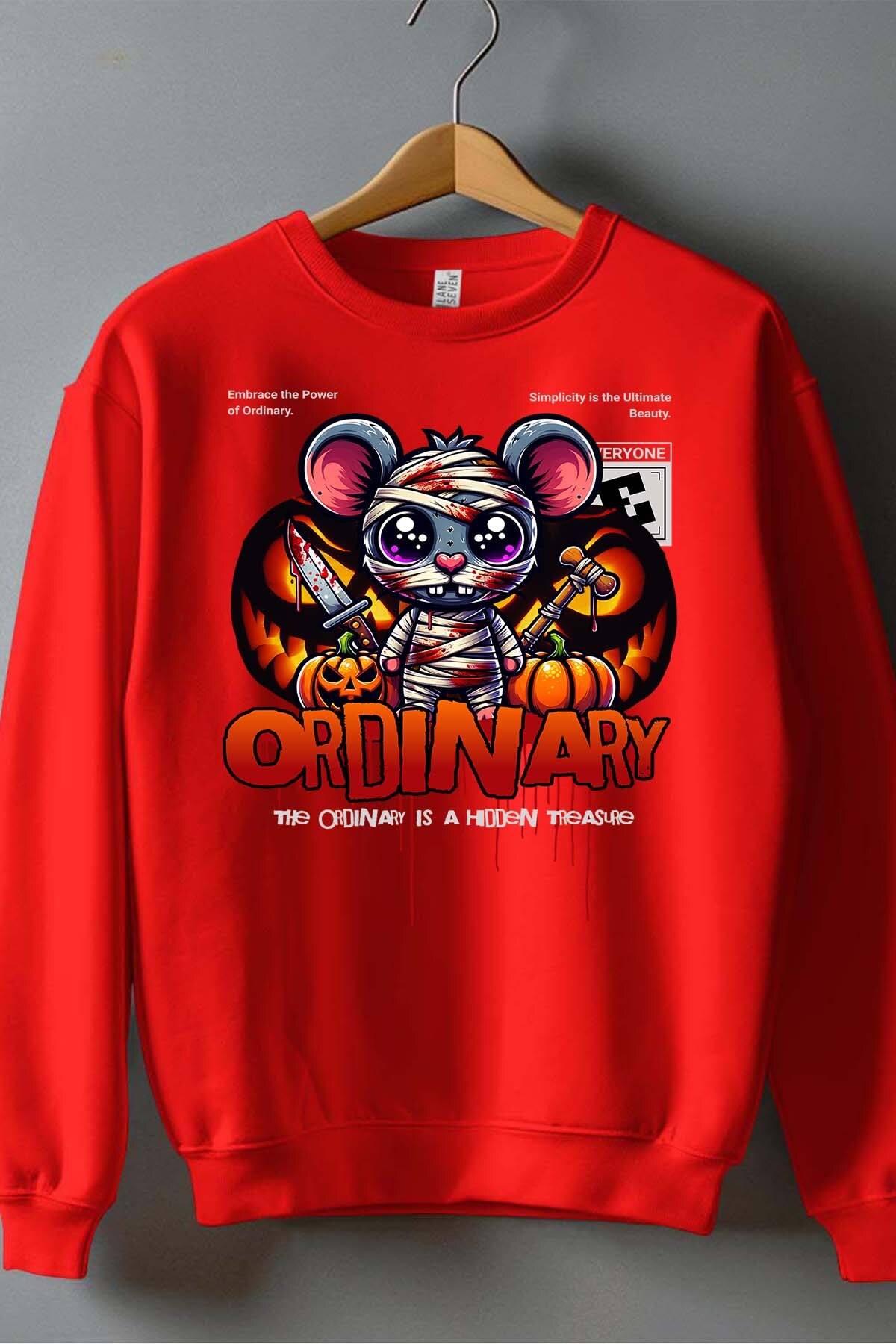 Grossiste I.A.L.D FRANCE - Ordinary Treasure - Sweat Col Rond Garçon