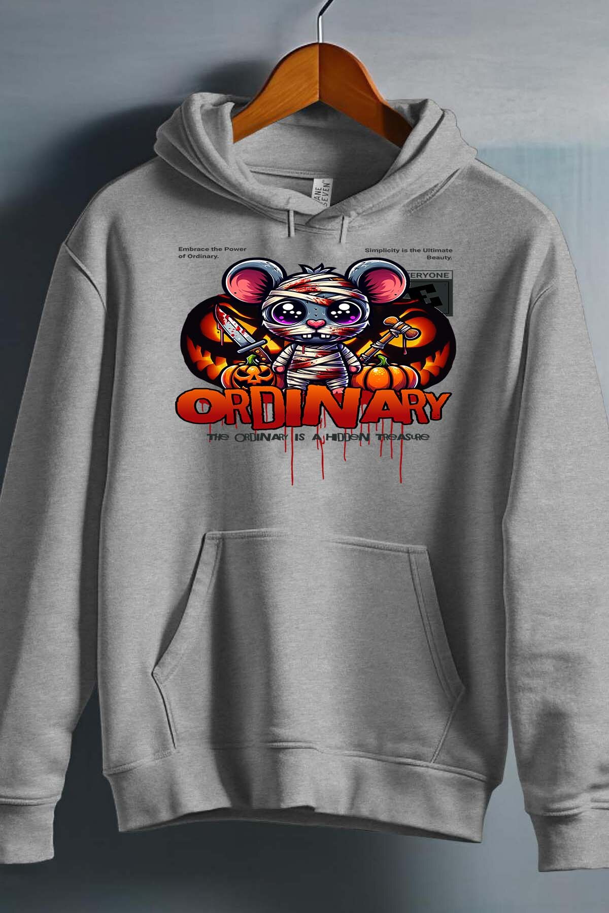 Grossiste I.A.L.D FRANCE - Ordinary Treasure - Sweat Capuche Garçon