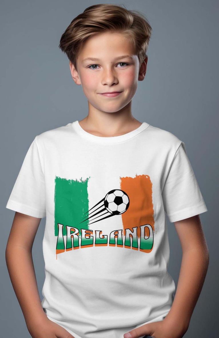 Wholesaler I.A.L.D FRANCE - Boy's tee  | Ireland 24