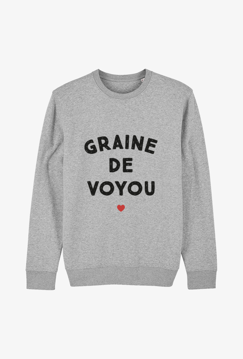Grossiste Koloris - Sweat enfant Gris - Graine de voyou