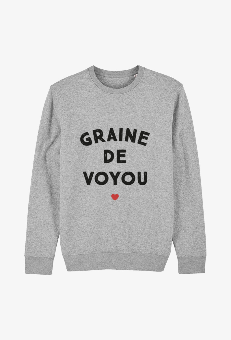 Grossiste Koloris - Sweat enfant Gris - Graine de voyou