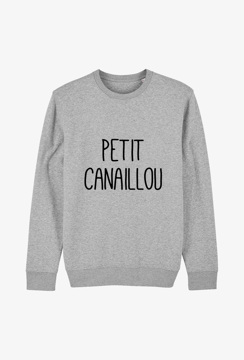 Grossiste Koloris - Sweat enfant Gris - Petit canaillou