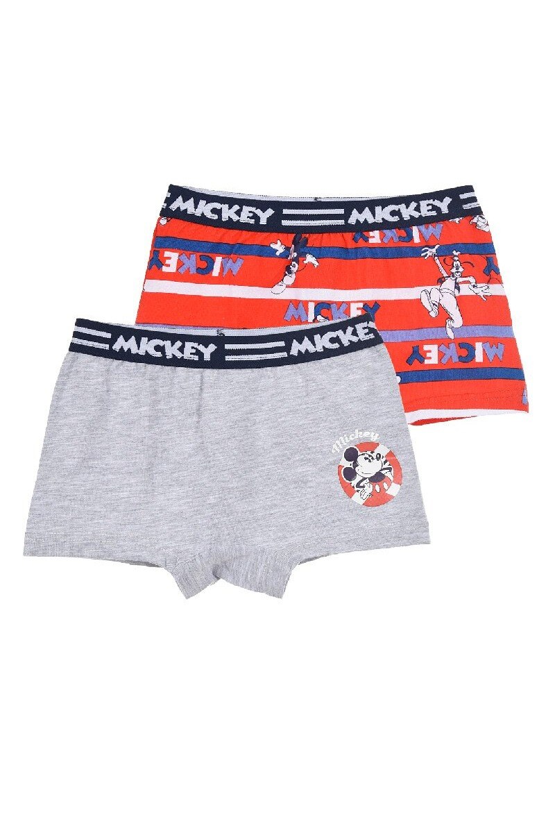 Mayorista Mickey - Lote de 2 boxers estampados MICKEY