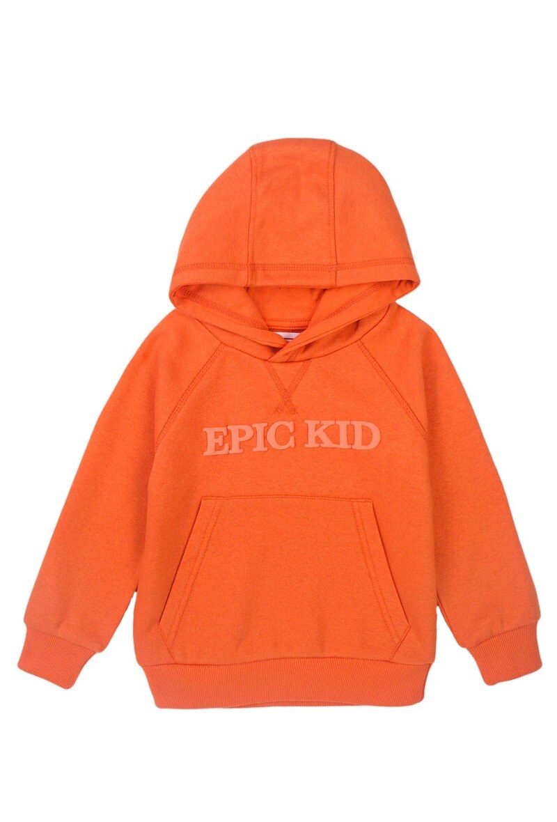 Mayorista Minoti - Sudadera con capucha Epic kid MINOTI (Valley 3)