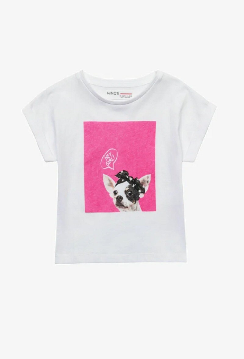 Mayorista Minoti - Camiseta manga corta chihuahua MINOTI