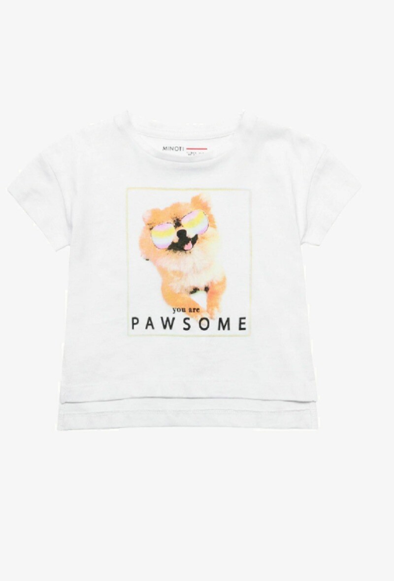 Mayorista Minoti - Camiseta manga corta perro MINOTI