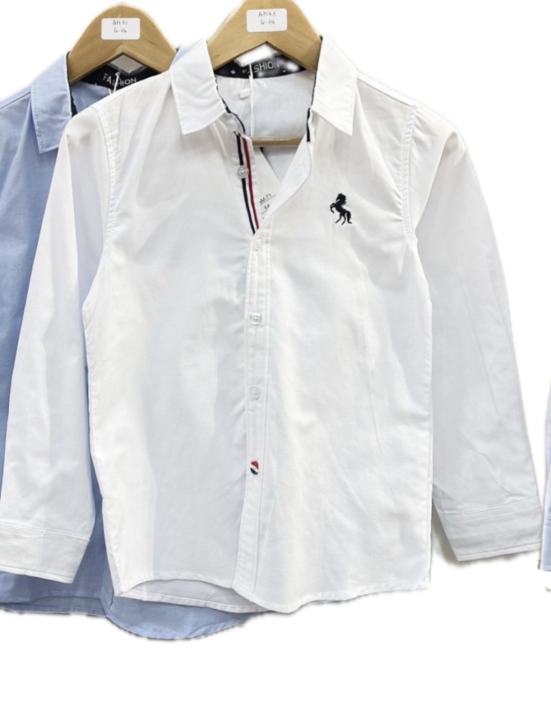 Wholesaler Mon Ami - Boy's printed shirt