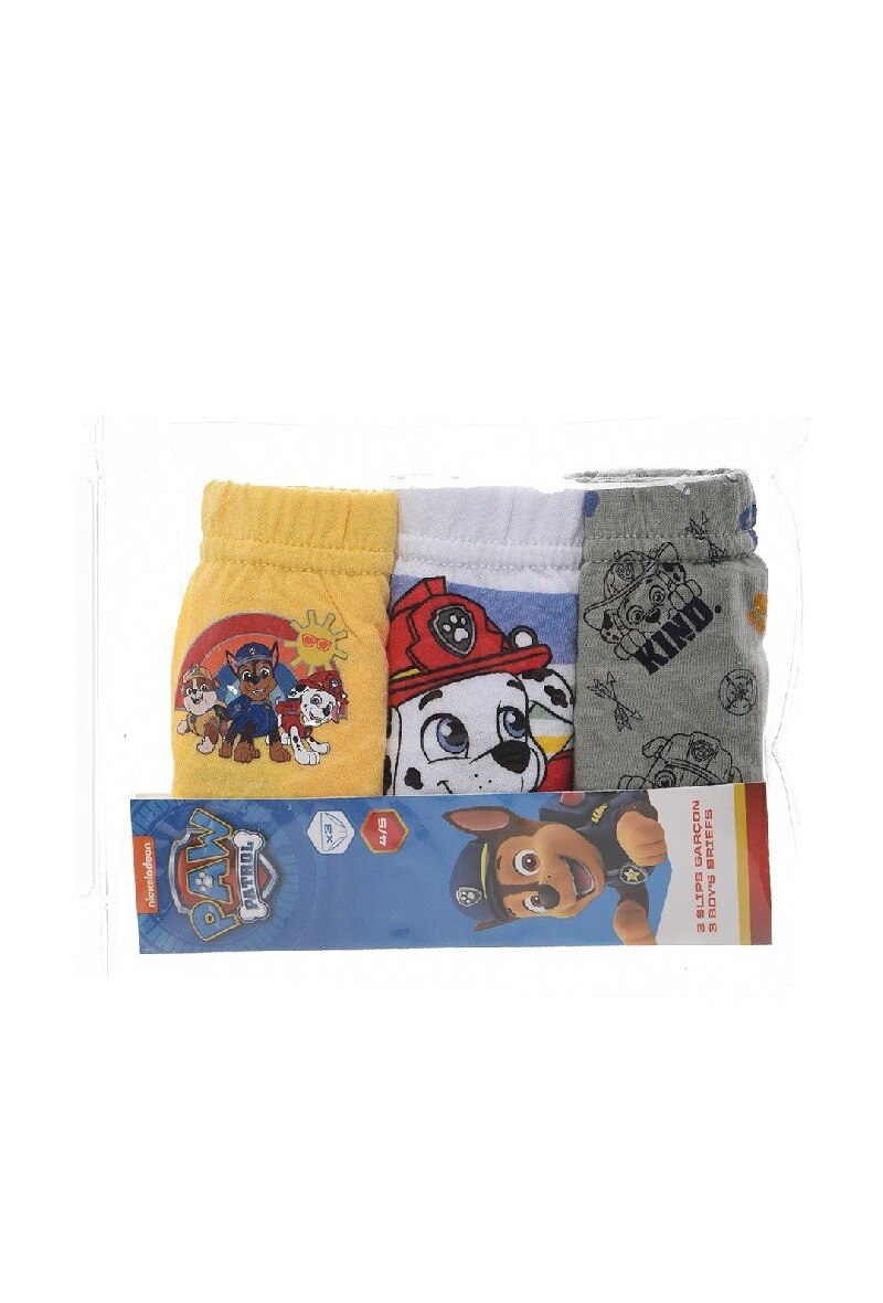 Großhändler Paw Patrol - Kit of 3 briefs PAW PATROL