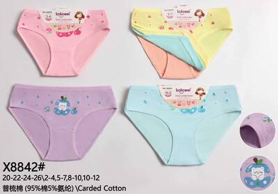 Grossiste PHENIX ROUGE - Culottes Fille Coton LOT DE 3 Grossiste PHENIX ROUGE - Culottes Fille Coton LOT DE 3