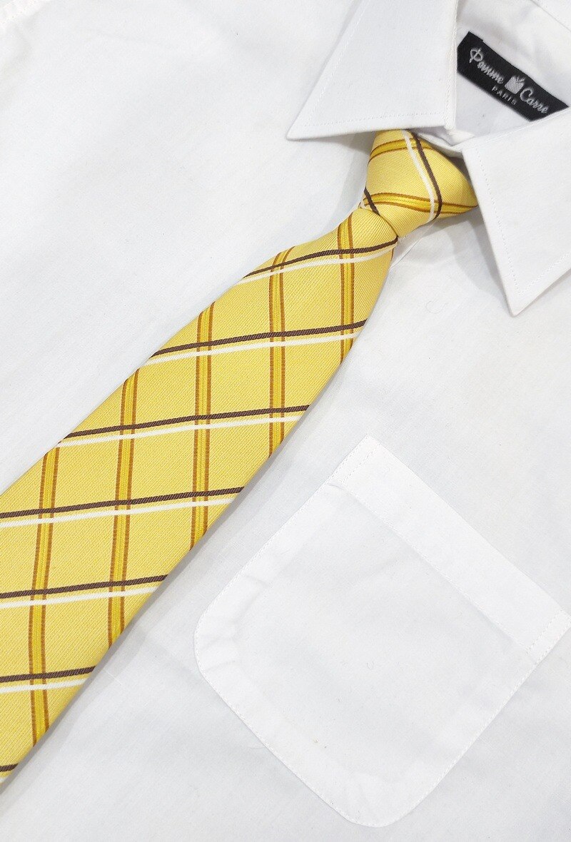 Wholesaler Pomme Carre - Brown, white and yellow checkered tie