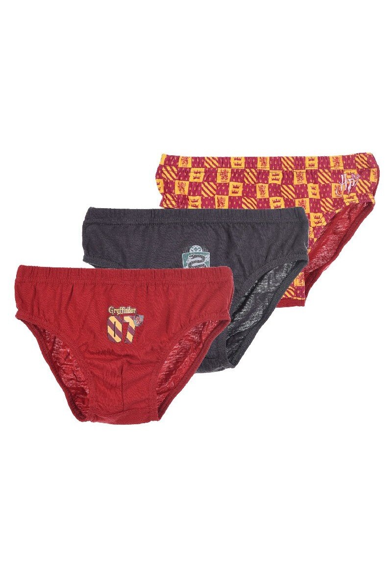 Grossiste So Brand - Boîte de 3 slips HARRY POTTER Coton Bio