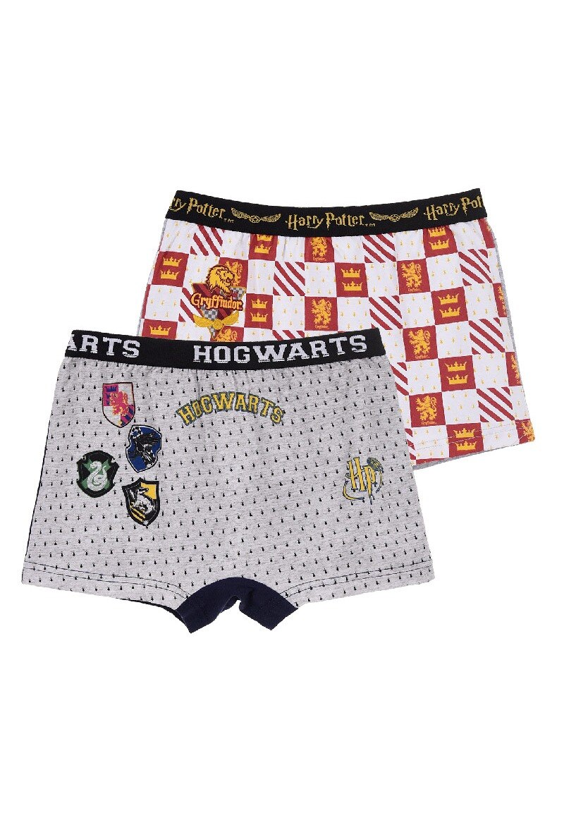 Großhändler So Brand - Set of 2 boxers HARRY POTTER Organic cotton