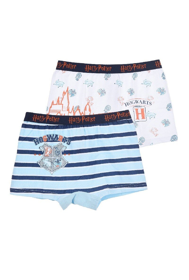 Grossiste So Brand - Lot de 2 boxers imprimés HARRY POTTER