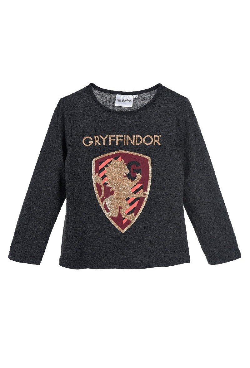 Grossiste So Brand - T-shirt manches longues HARRY POTTER