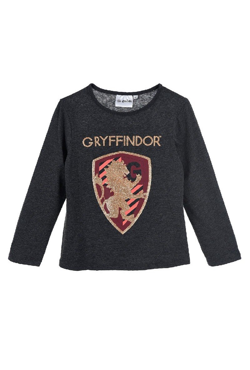Grossiste So Brand - T-shirt manches longues HARRY POTTER