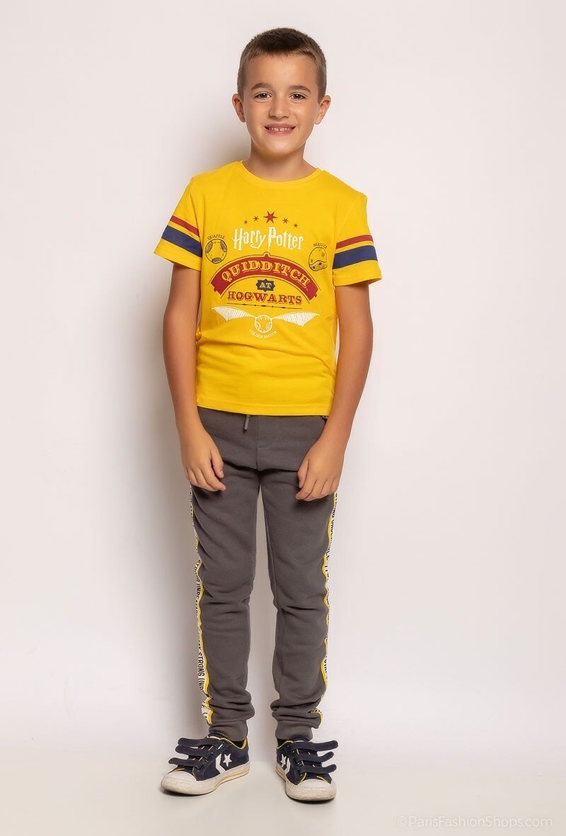 Grossiste So Brand - T-shirt manches courtes HARRY POTTER