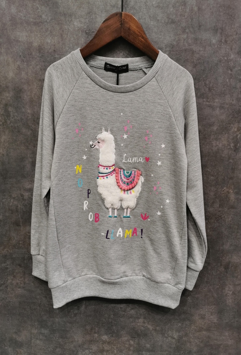 Grossiste Squared & Cubed - SWEAT A COL ROND "LAMA"