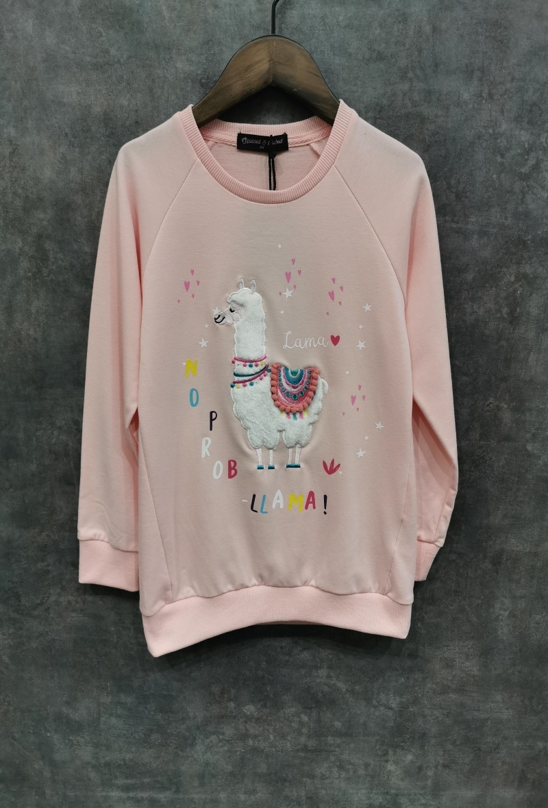 Grossiste Squared & Cubed - SWEAT A COL ROND "LAMA"