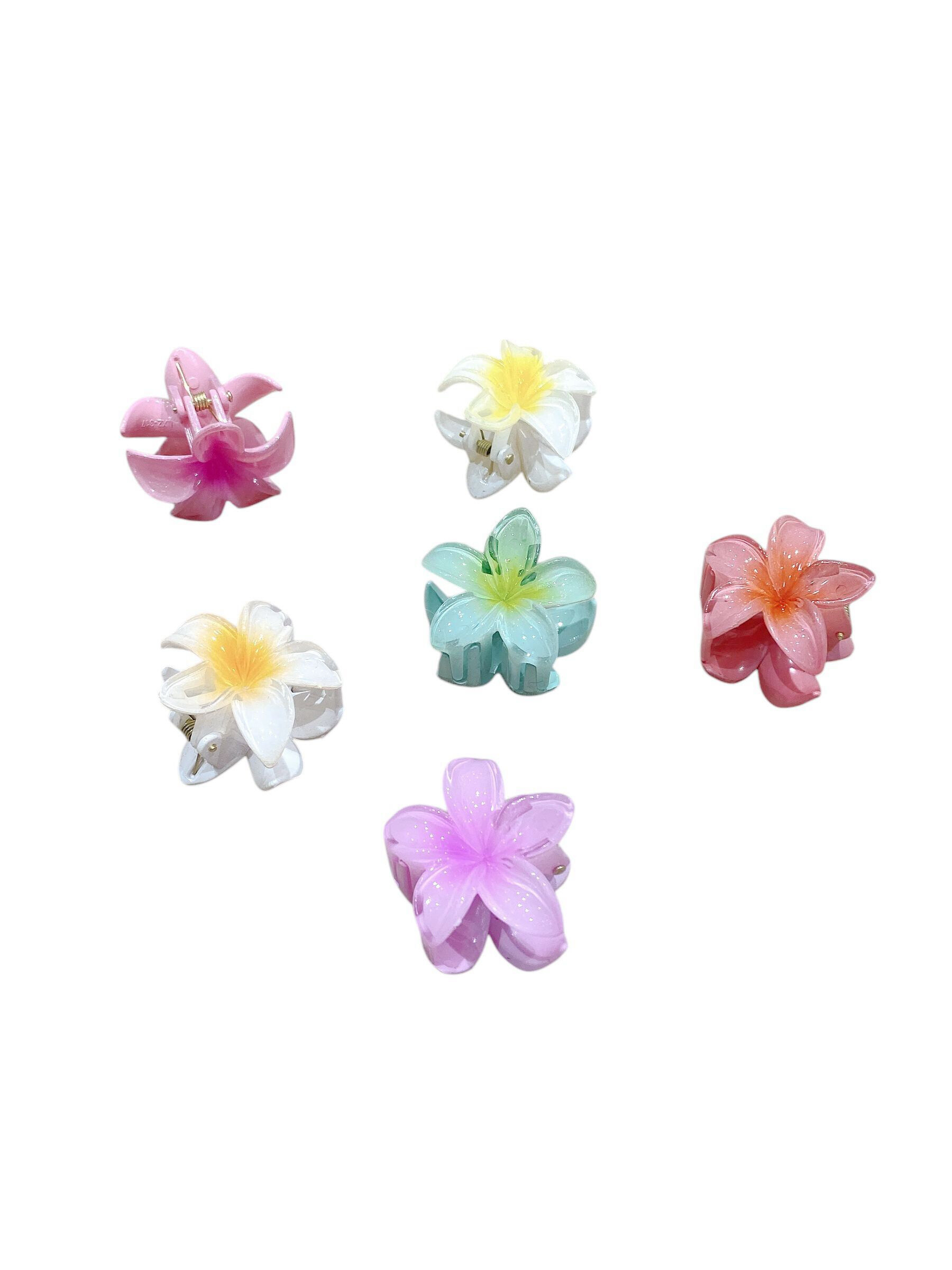 Grossista An'gel - Set di 12 clip per capelli a forma di capelli a forma di capelli