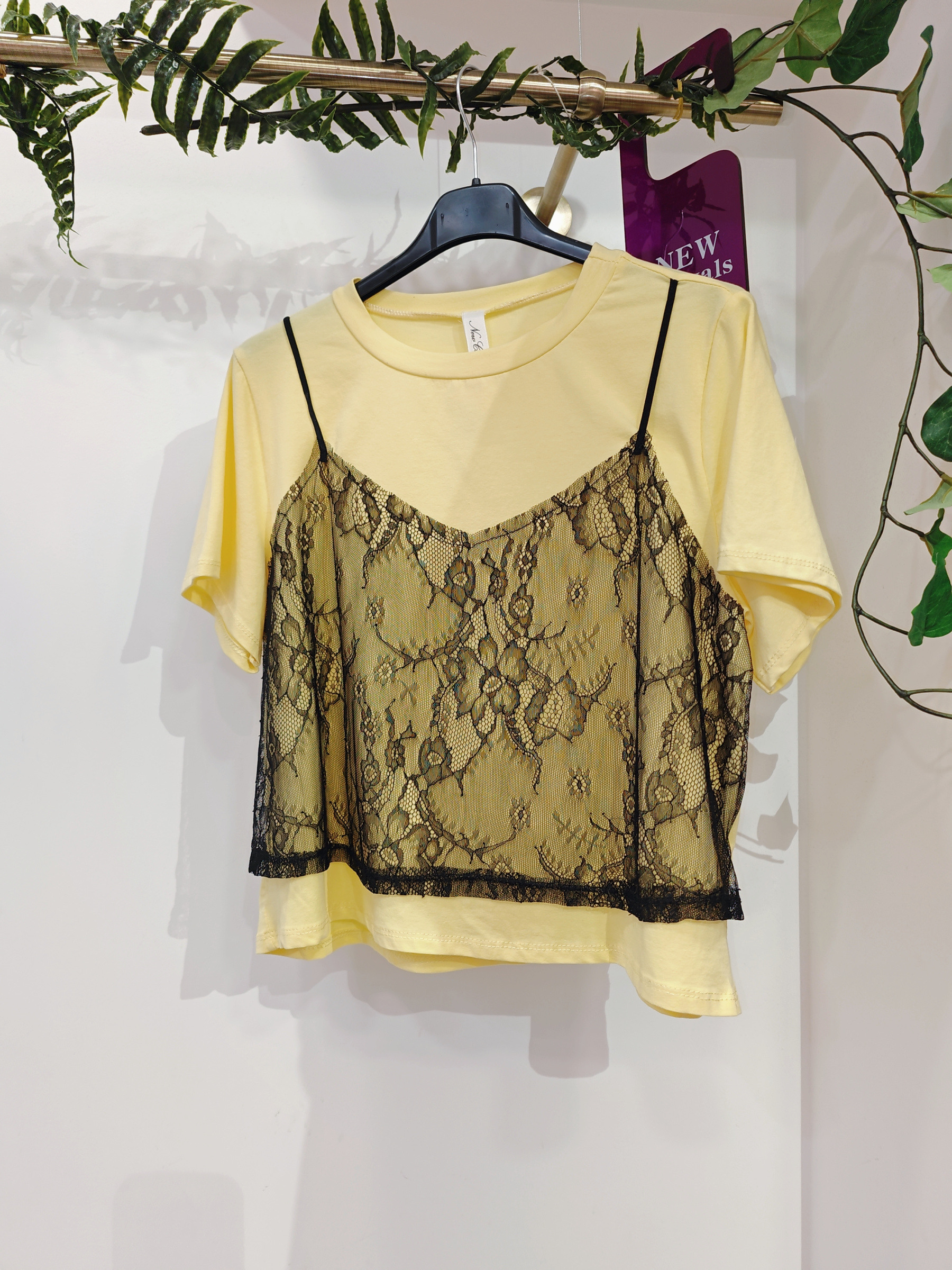 Grossiste ASHECO - Top t-shirt dentelle