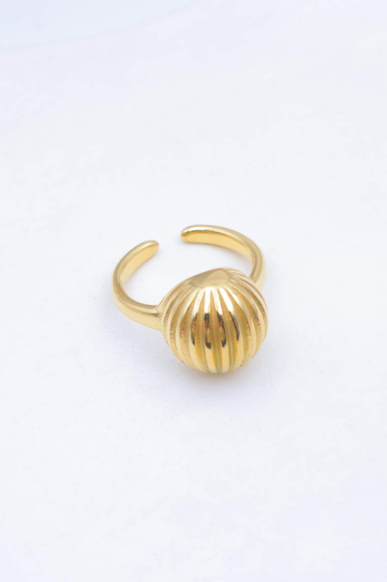 Grossista Beli & Jolie - Anello regolabile in acciaio inossidabile