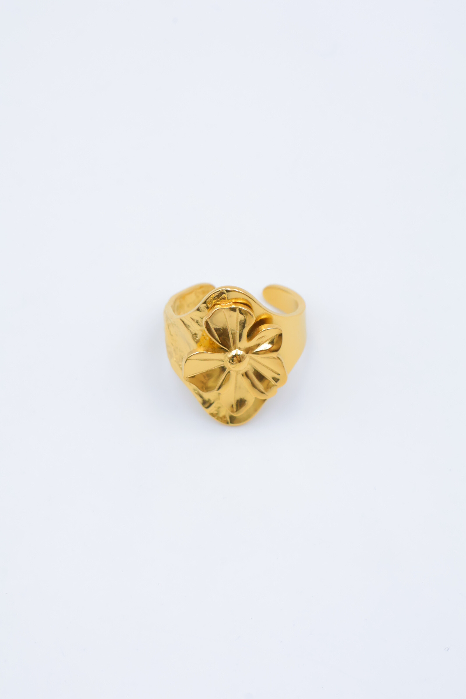 Mayorista Beli & Jolie - Anillo de acero inoxidable ajustable