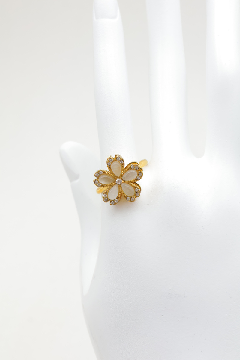 Grossista Beli & Jolie - Anello in acciaio inossidabile