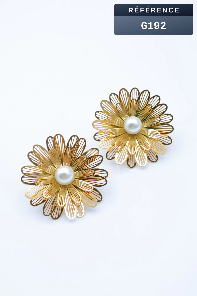 Grossiste Beli & Jolie - Boucles d'oreilles en acier inoxydable
