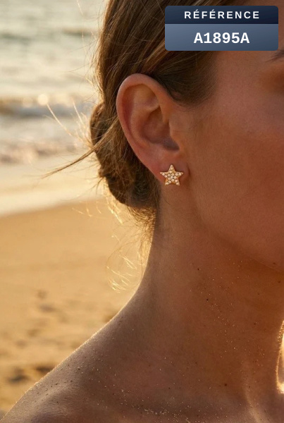 Grossiste Beli & Jolie - Boucles d'oreilles en acier inoxydable
