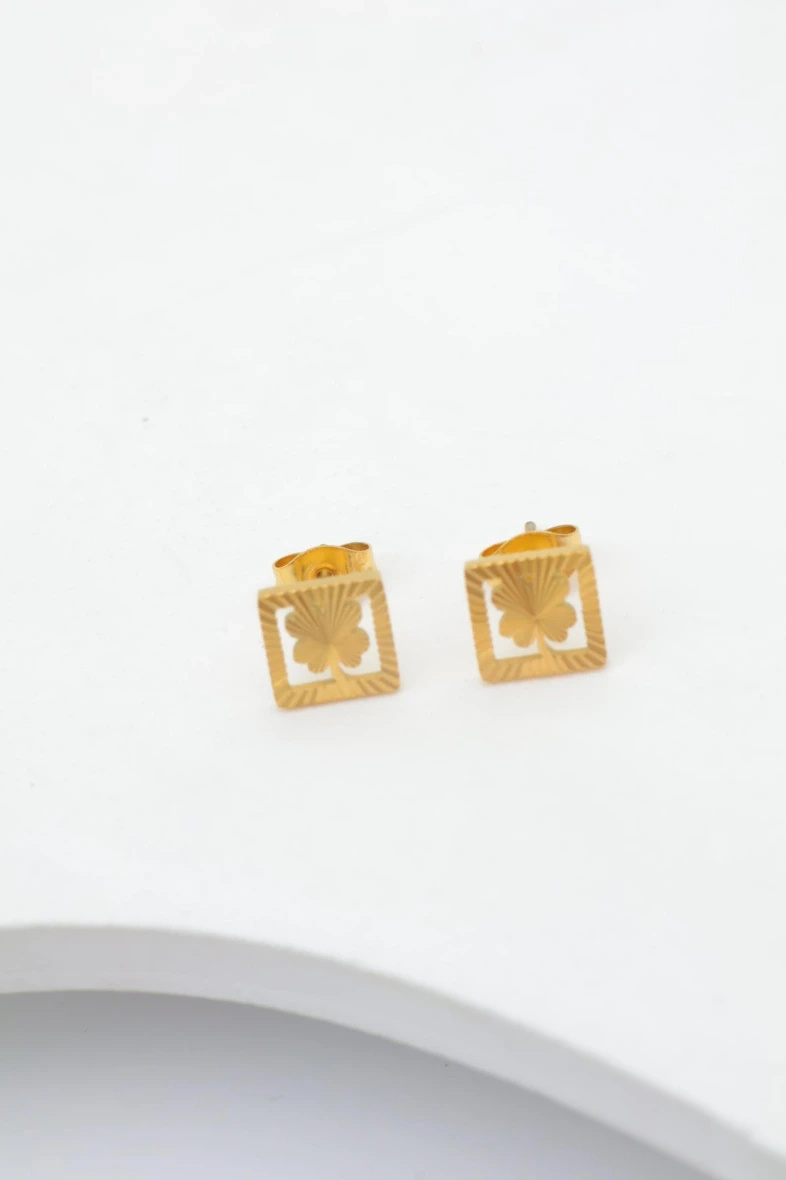 Wholesaler Beli & Jolie - Stainless steel earrings