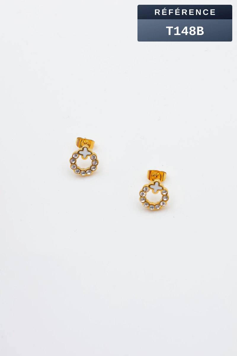 Grossiste Beli & Jolie - Boucles d'oreilles en acier inoxydable