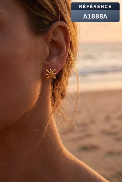 Wholesaler Beli & Jolie - Stainless steel earrings
