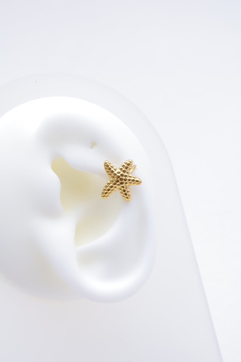 Grossiste Beli & Jolie - Boucles d'oreilles en acier inoxydable