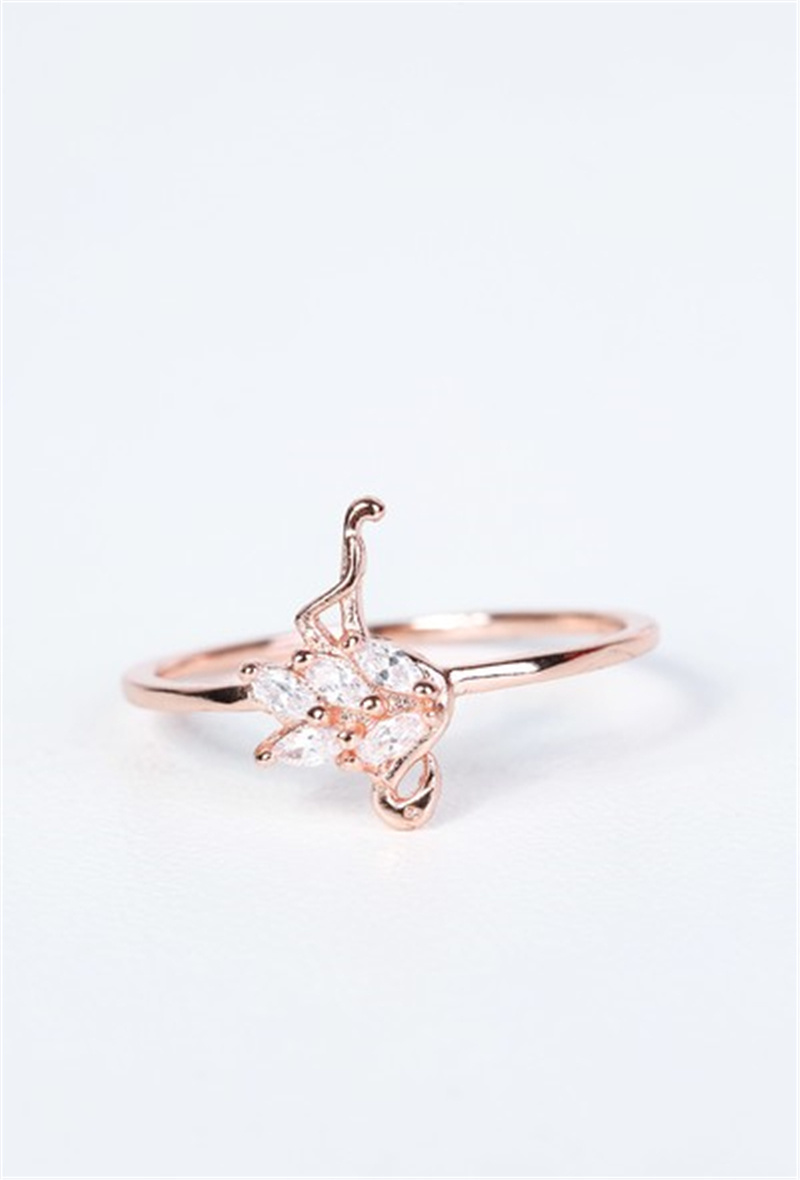 Wholesaler Bellissima - Ring 141BG17
