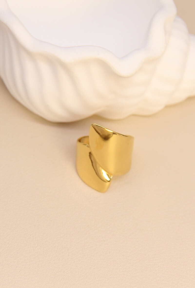 Mayorista Bellissima - Anillo Puro - Acero inoxidable con un diseño cruzado