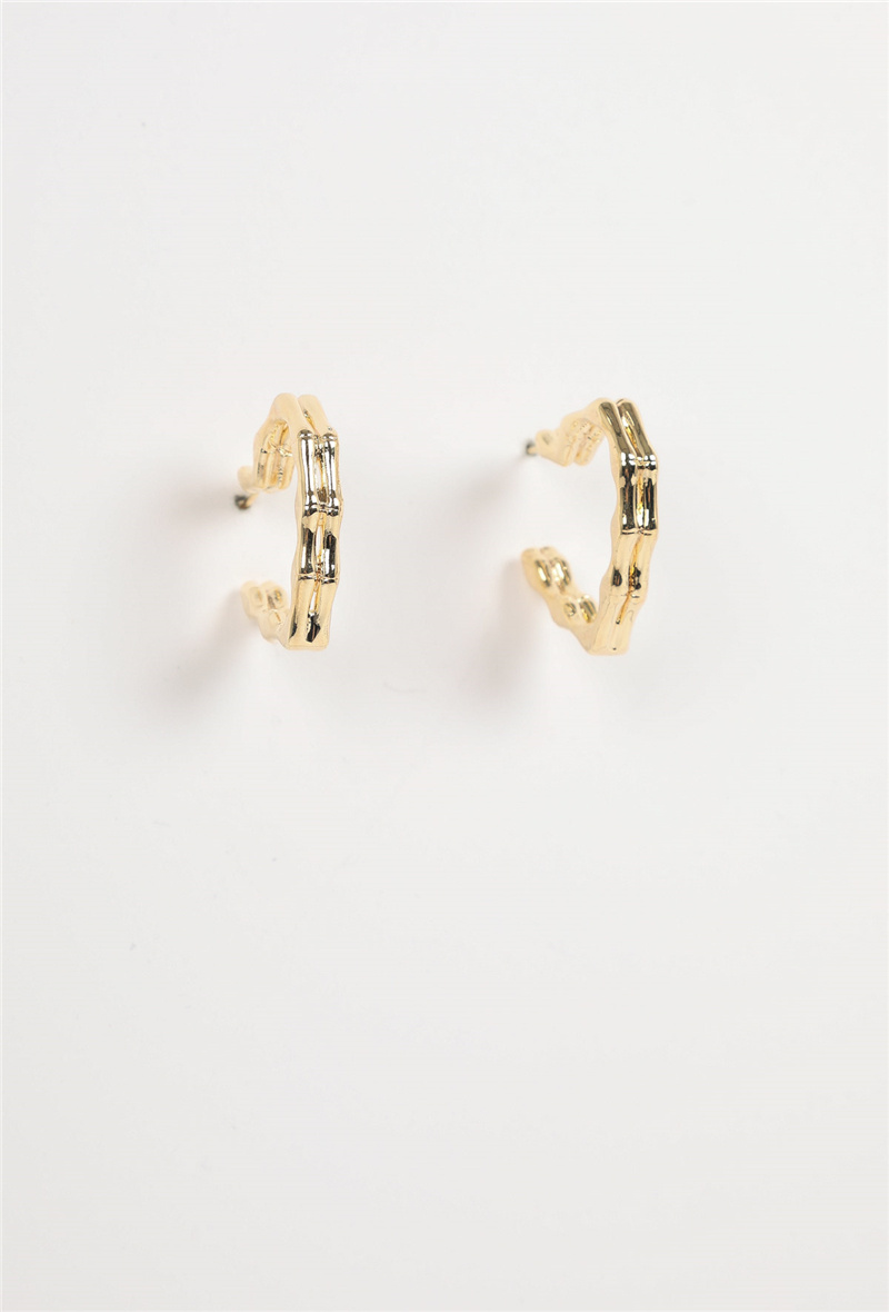 Wholesaler Bellissima - 925 silver rod earring   147BO04