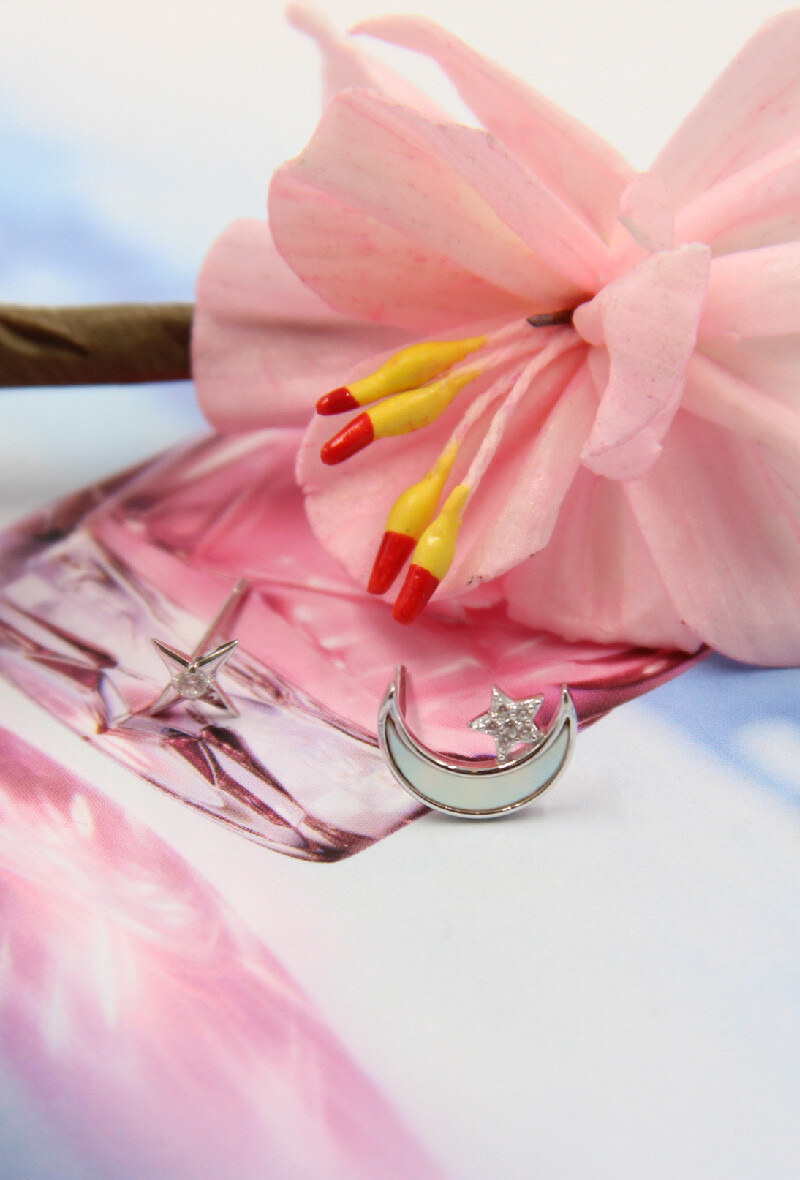 Wholesaler Bellissima - 925 silver earring