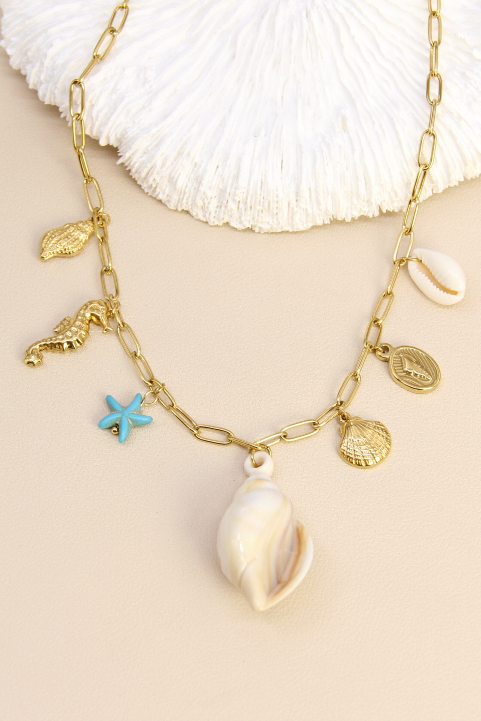Grossiste Bellissima - Collier coquillages acier inoxydable – Esprit bord de mer