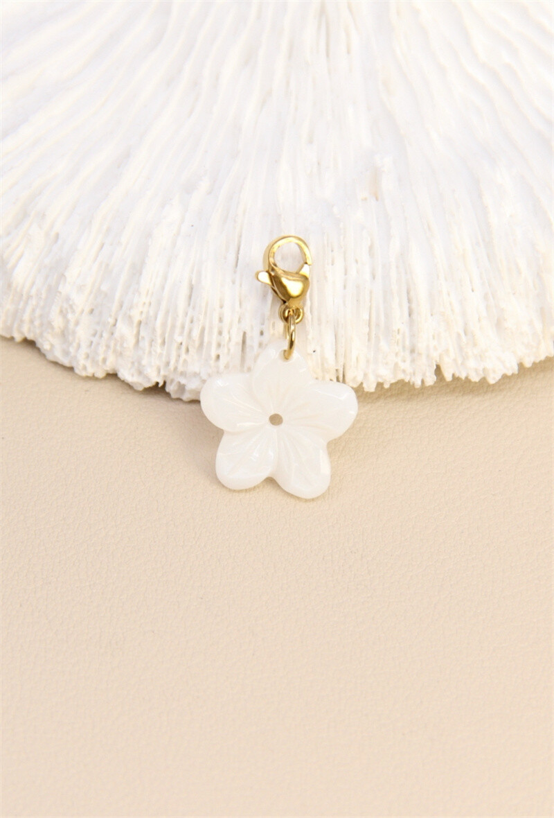 Mayorista Bellissima - Golden Charm - Elegancia en plena floración