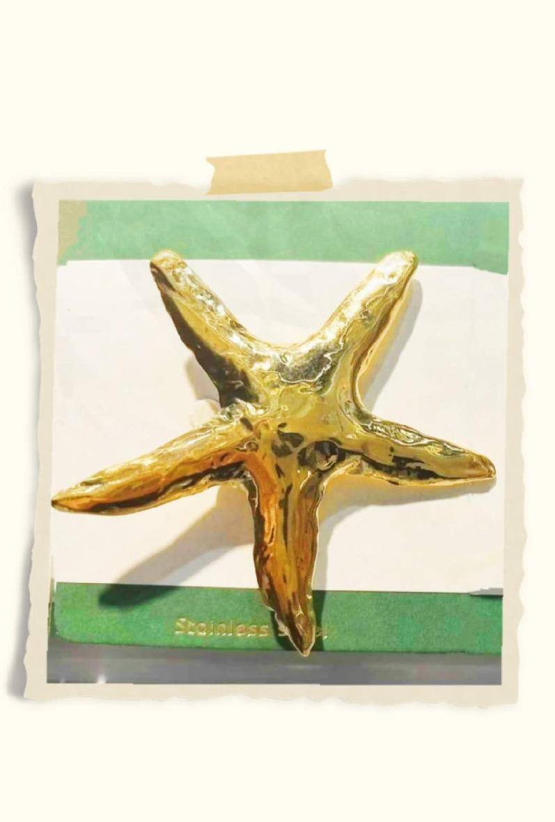 Grossiste Bijoussimo - Broche acier femme motif étoile de mer