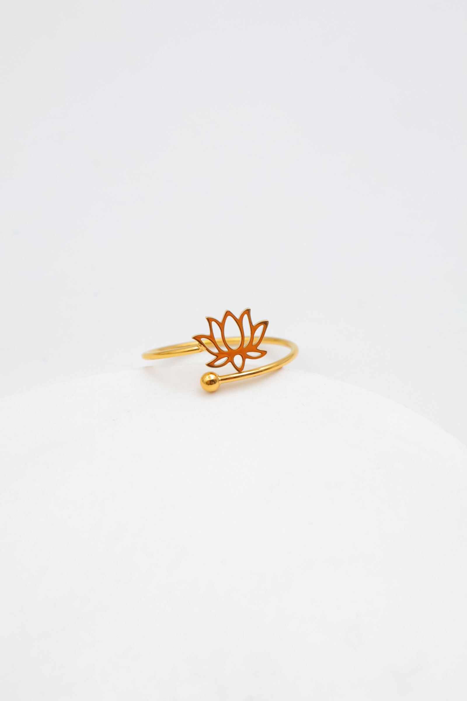 Wholesaler Bijoux Mystères - Adjustable stainless steel ring
