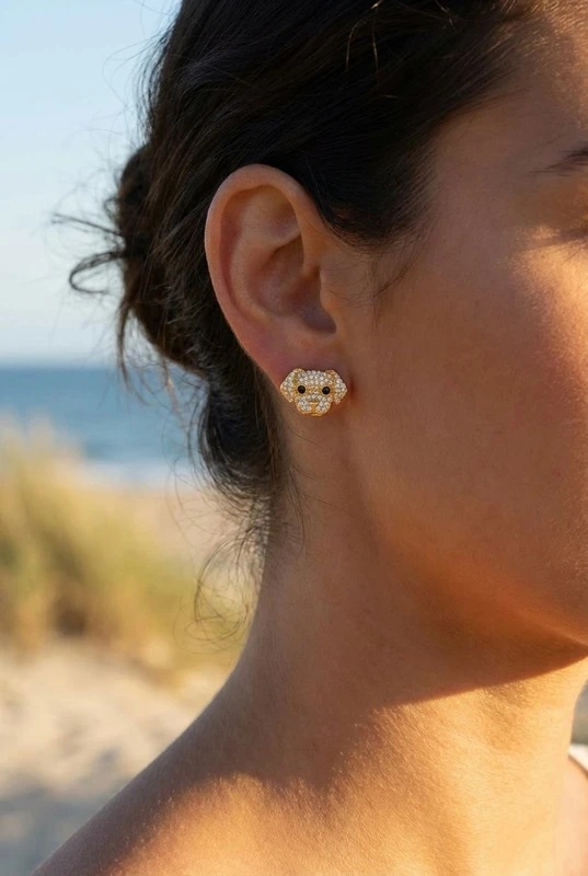 Mayorista Bijoux Mystères - Pendientes de acero inoxidable